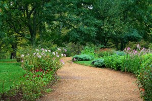 bild_gartenweg